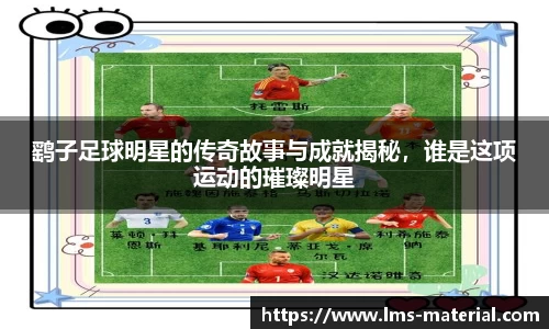 鹞子足球明星的传奇故事与成就揭秘，谁是这项运动的璀璨明星
